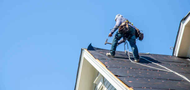 Best Storm Damage Roof Repair  in Slater, MO